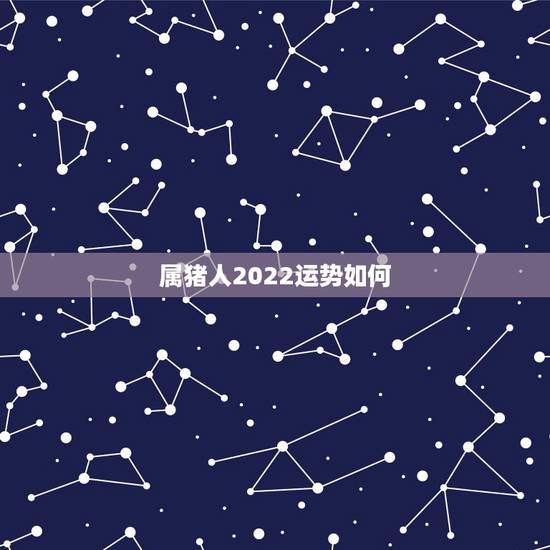 属猪人2022运势如何,属猪虎年运势2022年 属猪人2022运势如何,属猪虎年运势2022年