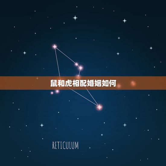 鼠和虎相配婚姻如何，女鼠和男虎的姻缘如何