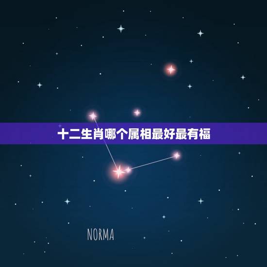 十二生肖哪个属相最好最有福,最有福气的生肖都有哪些? 十二生肖哪个属相最好最有福,最有福气的生肖都有哪些?