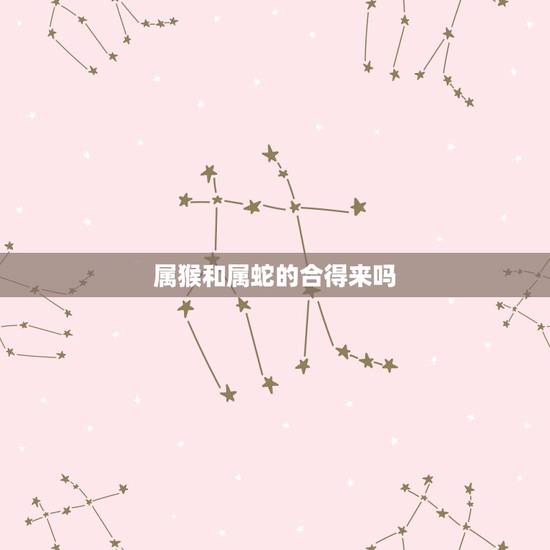 属猴和属蛇的合得来吗，2001年蛇和2004年猴配吗