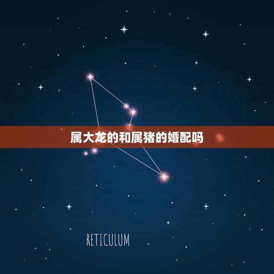 属大龙的和属猪的婚配吗，属相婚配：男属龙和女属猪相配吗