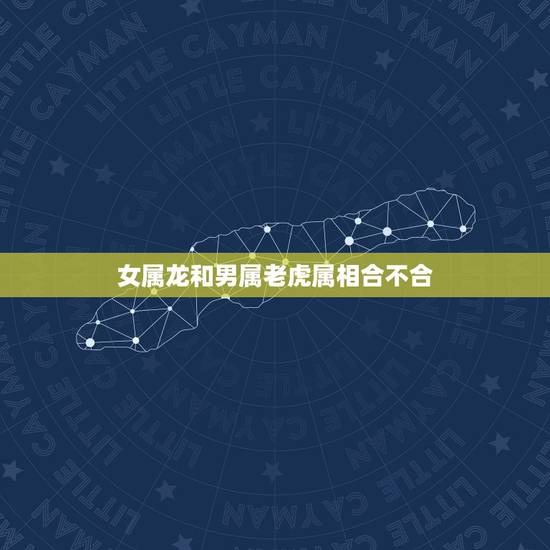 女属龙和男属老虎属相合不合，女属龙和男属虎配吗 详细
