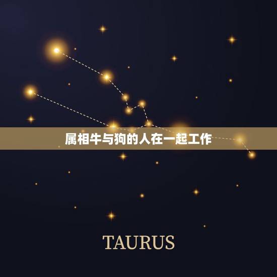 属相牛与狗的人在一起工作,属牛和属狗在一起好吗 属相牛与狗的人在一起工作,属牛和属狗在一起好吗