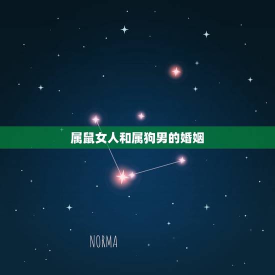 属鼠女人和属狗男的婚姻,94年狗2022 年必有一难 属鼠女人和属狗男的婚姻,94年狗2022 年必有一难