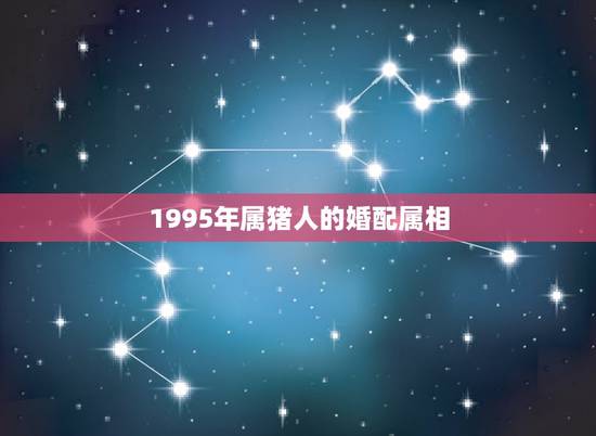 1995年属猪人的婚配属相,1995年女找什么配偶最适合 1995年属猪人的婚配属相,1995年女找什么配偶最适合