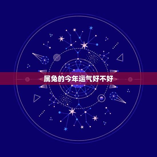 属兔的今年运气好不好,属兔的人命运好不好 属兔的今年运气好不好,属兔的人命运好不好