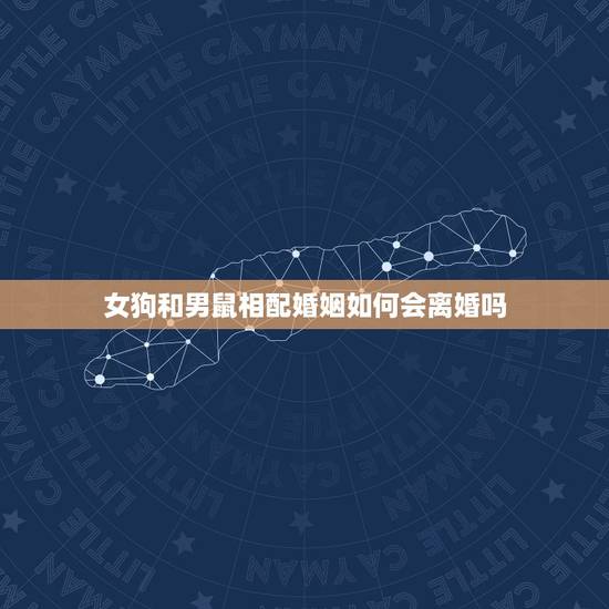 女狗和男鼠相配婚姻如何会离婚吗，狗和鼠相配婚姻如何