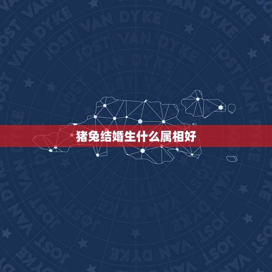 猪兔结婚生什么属相好，属兔子的与属猪的生个什么属相的孩子好