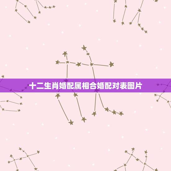 十二生肖婚配属相合婚配对表图片,生肖相生相克相冲表 十二生肖婚配属相合婚配对表图片,生肖相生相克相冲表