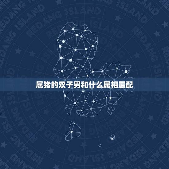属猪的双子男和什么属相最配，请问生肖猪与什么生肖相克？