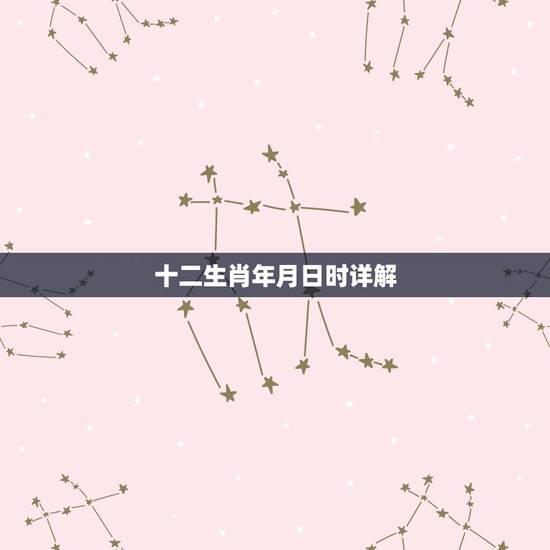 十二生肖年月日时详解，年月日时 对应的生肖