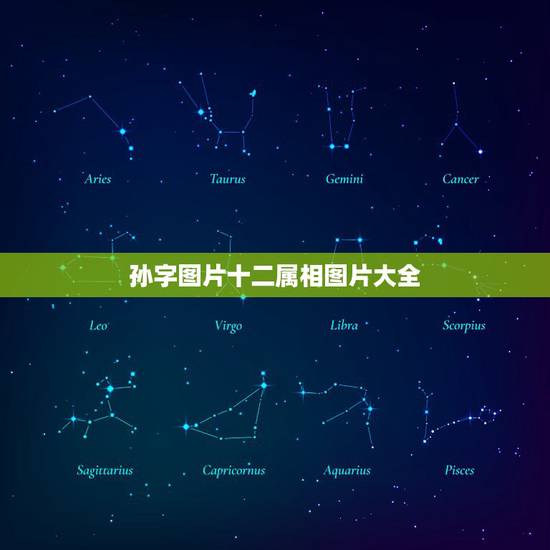 孙字图片十二属相图片大全，起名字大全女孩