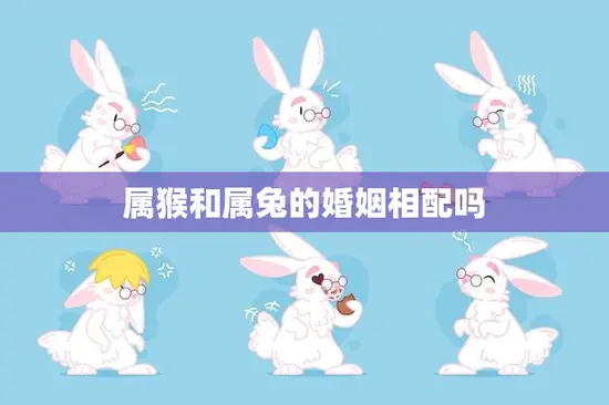 属猴和属兔的婚姻相配吗(解析属相配对)