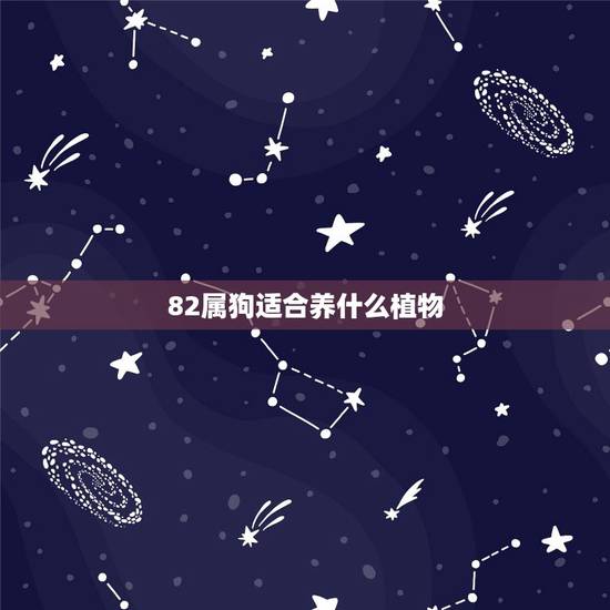 82属狗适合养什么植物,属狗的人养什么植物好 82属狗适合养什么植物,属狗的人养什么植物好