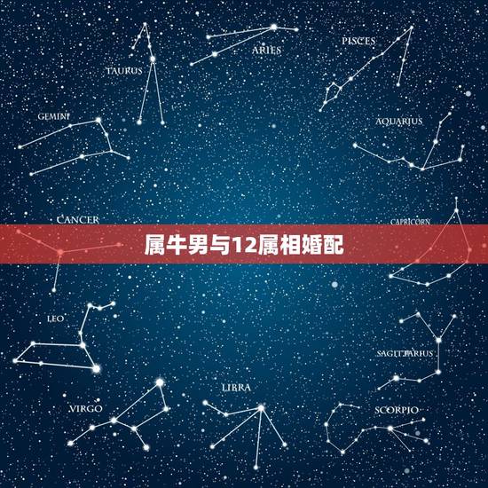属牛男与12属相婚配，属牛的属相婚配表，属牛的和什么属相最配，12生肖