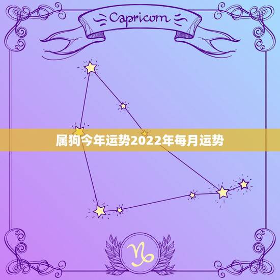 属狗今年运势2022年每月运势,属狗2022年运势如何 属狗今年运势2022年每月运势,属狗2022年运势如何