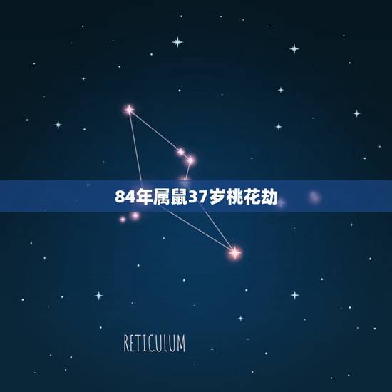 84年属鼠37岁桃花劫，84年属鼠37岁婚姻
