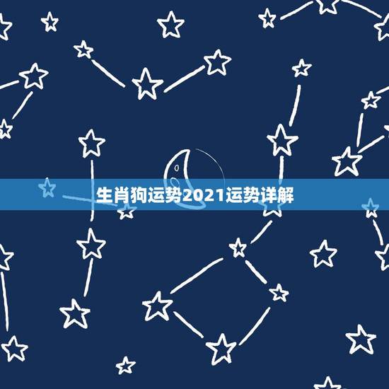 生肖狗运势2021运势详解，属狗2021年运势及运程每月运程