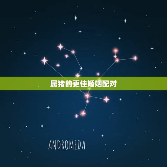 属猪的更佳婚姻配对,九五年属猪的婚姻配对 属猪的更佳婚姻配对,九五年属猪的婚姻配对