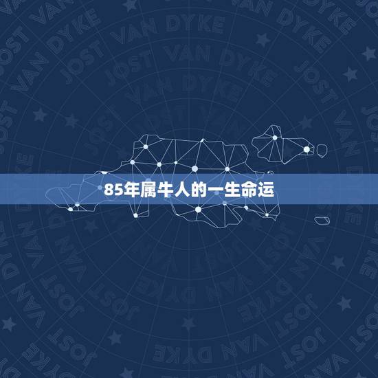 85年属牛人的一生命运 85年属牛人2022年财运 85年属牛人的一生命运 85年属牛人2022年财运