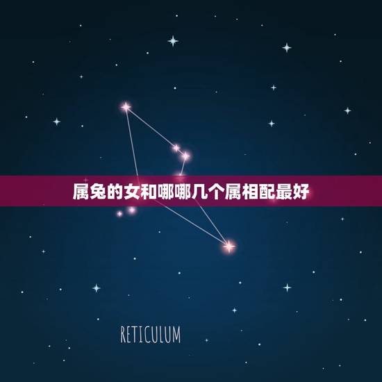 属兔的女和哪哪几个属相配最好，属兔和什么属相比较相配