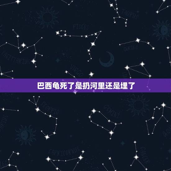 巴西龟死了是扔河里还是埋了，乌龟死了 该怎么安葬啊