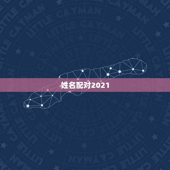 姓名配对2021，姓名配对打分