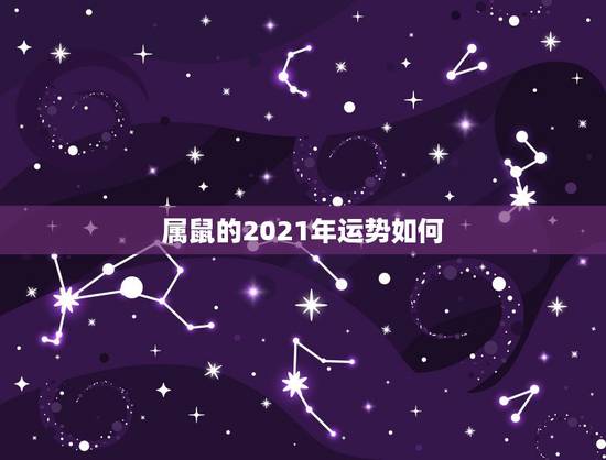 属鼠的2021年运势如何，2021年生肖鼠运势详解