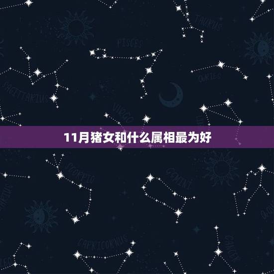 11月猪女和什么属相最为好，猪女配什么属相最好