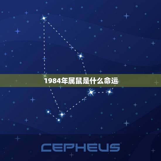 1984年属鼠是什么命运,1984年属鼠人的命运,星座? 1984年属鼠是什么命运,1984年属鼠人的命运,星座?