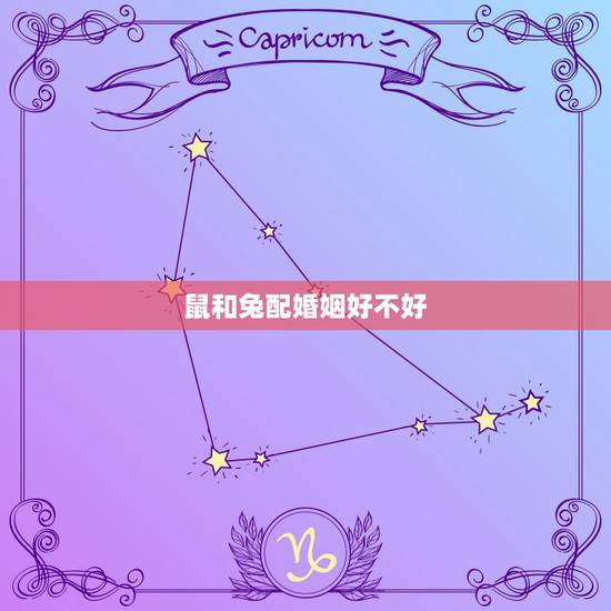 鼠和兔配婚姻好不好,男鼠女兔有过的好的吗 鼠和兔配婚姻好不好,男鼠女兔有过的好的吗