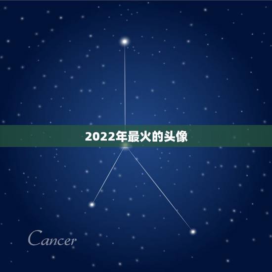 2022年最火的头像，最近最火的头像，类似这种