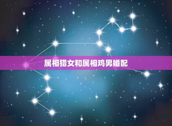 属相猎女和属相鸡男婚配,属相婚配:男属鸡和女属猪相配吗 属相猎女和属相鸡男婚配,属相婚配:男属鸡和女属猪相配吗