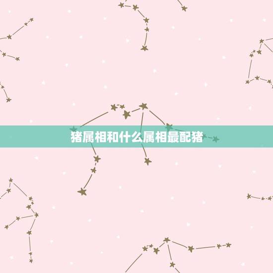 猪属相和什么属相最配猪，猪肖和什么生肖最配姻缘