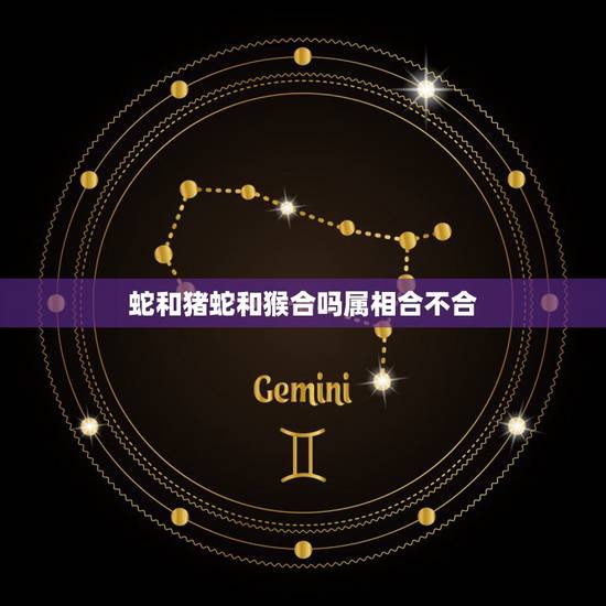 蛇和猪蛇和猴合吗属相合不合,猴和蛇的属相合不合 蛇和猪蛇和猴合吗属相合不合,猴和蛇的属相合不合