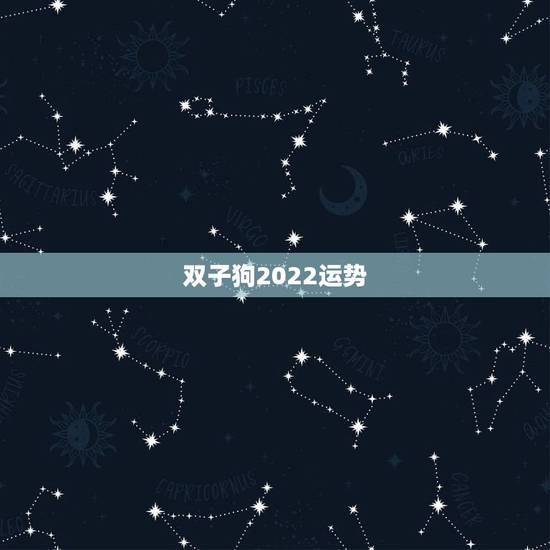 双子狗2022运势，双子座2021年每月运势