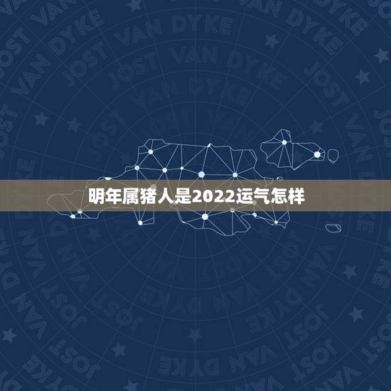 明年属猪人是2022运气怎样,2007年属猪2022年学业 明年属猪人是2022运气怎样,2007年属猪2022年学业