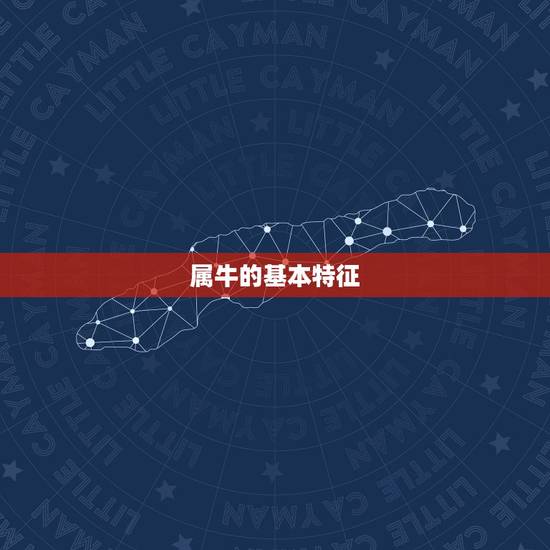 属牛的基本特征