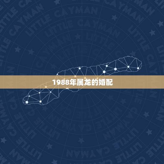 1988年属龙的婚配,1988年属龙的人和1985年属牛的人的婚配 1988年属龙的婚配,1988年属龙的人和1985年属牛的人的婚配