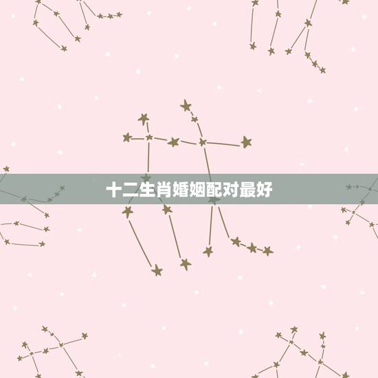 十二生肖婚姻配对最好,十二生肖婚姻配对大全? 十二生肖婚姻配对最好,十二生肖婚姻配对大全?