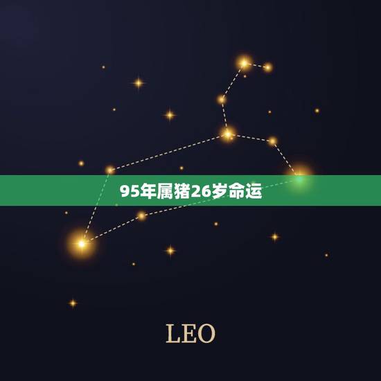 95年属猪26岁命运,95年属猪的是什么命 95年属猪26岁命运,95年属猪的是什么命