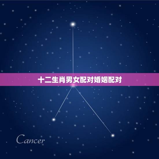 十二生肖男女配对婚姻配对,十二生肖男女婚配属相 十二生肖男女配对婚姻配对,十二生肖男女婚配属相