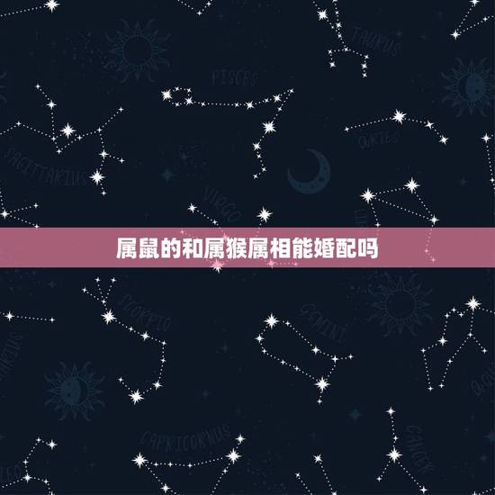 属鼠的和属猴属相能婚配吗，属鼠的和属猴的配吗