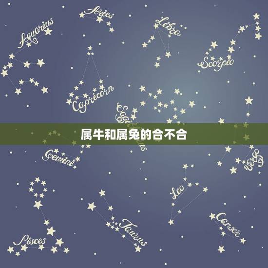 属牛和属兔的合不合,属牛的和属兔的能配合吗 属牛和属兔的合不合,属牛的和属兔的能配合吗