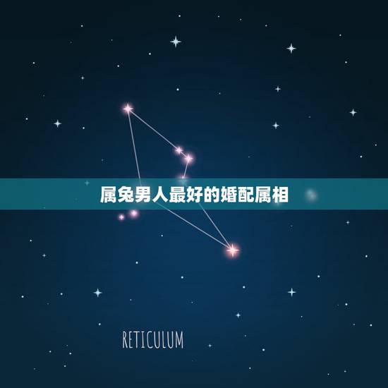 属兔男人最好的婚配属相，属相婚配：男属兔和女属猪相配吗