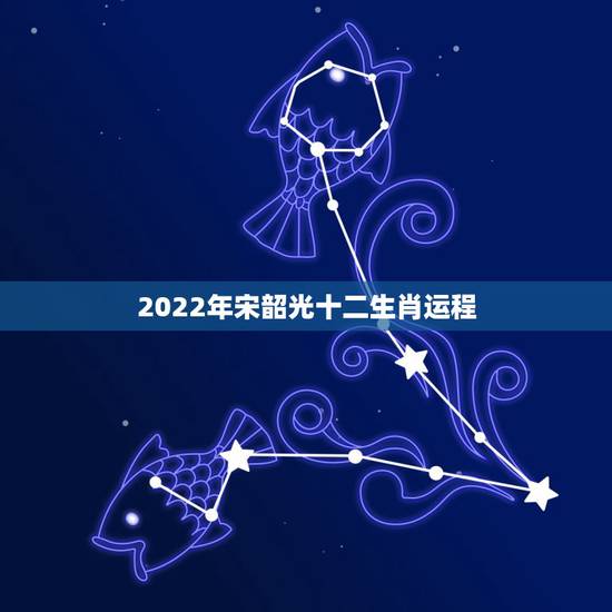 2022年宋韶光十二生肖运程 2022年12生肖运势解析 2022年宋韶光十二生肖运程 2022年12生肖运势解析