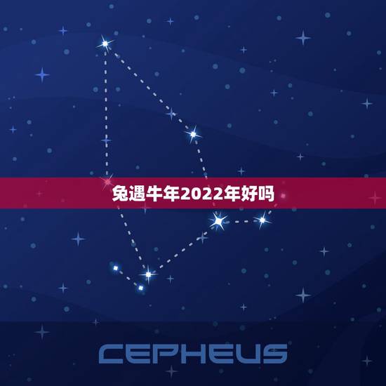 兔遇牛年2022年好吗,属兔未来5年运势走向 兔遇牛年2022年好吗,属兔未来5年运势走向