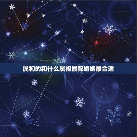 属狗的和什么属相最配婚姻最合适,属狗男和什么属相的女性结婚最合适? 属狗的和什么属相最配婚姻最合适,属狗男和什么属相的女性结婚最合适?