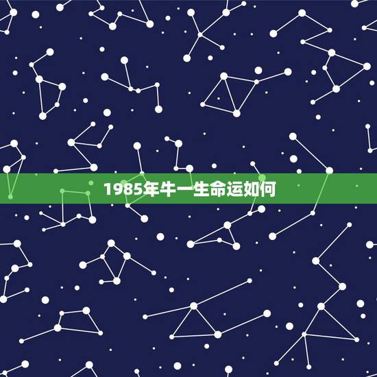 1985年牛一生命运如何，属牛，1985年命运怎样