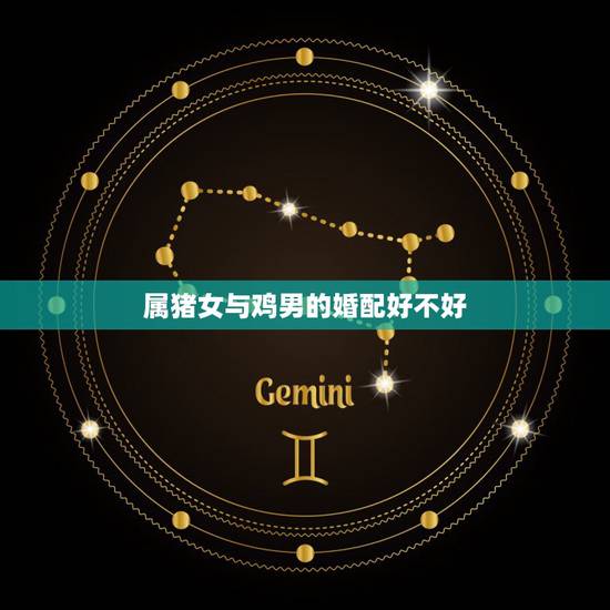 属猪女与鸡男的婚配好不好,属猪的女和属鸡的男的婚姻好吗 属猪女与鸡男的婚配好不好,属猪的女和属鸡的男的婚姻好吗